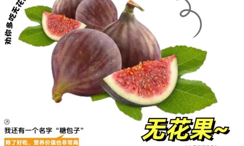 莲子冬瓜功效与作用及禁忌-莲子冬瓜功效与作用网- 莲子冬瓜功效与作用是什么知识,分享冬瓜莲子的营养价值