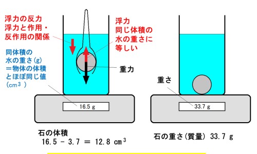 莲子冬瓜功效与作用禁忌-莲子冬瓜功效与作用网- 莲子冬瓜功效与作用是什么知识,分享冬瓜莲子的营养价值
