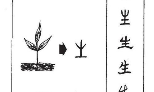 莲子冬瓜功效与作用禁忌-莲子冬瓜功效与作用网- 莲子冬瓜功效与作用是什么知识,分享冬瓜莲子的营养价值